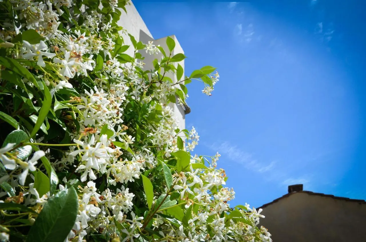 Luxury Apartment Pantheon Roma